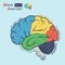 Brain anatomy ( Flat design ) ( Frontal lobe , Temporal Lobe , Parietal Lobe , Occipital Lobe , Cerebellum , Brain stem )