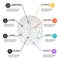 Brain anatomy structure, infographic. Functions of the mind