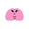 Brain angry emotion. Human brains Emoji evil. Isolated Mind