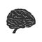 Brain black line icon. Internal human organ vector illustration