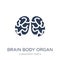 Brain body organ icon. Trendy flat vector Brain body organ icon