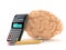 Brain with calculator and pencil