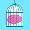 Brain captured in birdcage