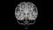 Brain Cerebral peduncle Anatomy For Medical Concept 3D