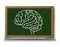 Brain chart diagram on a blackboard