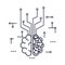 Brain with circuit icon