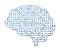 Brain Circuit with Intricate Network Of Neurons Connected By Synapses. Complex Cerebellar System Vector Illustration