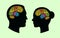 brain convolutions in male and female black human head silhouette, flat vector illustration