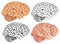 Brain, four variation.