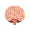 Brain front view icon