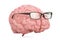 Brain with glasses, smart concept. 3D