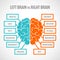 Brain hemispheres infographics