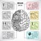 Brain hemispheres sketch infographic