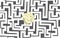 Brain hidden in complex maze or labyrinth