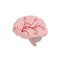 Brain icon isolated on white background, medical illustration in flat design. Cerebral circulation and spasm of cerebral