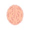 Brain icon view from above. symbol of reason and logic