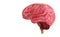 Brain imaging Is a 3D illustration format.