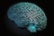 Brain Implanted with Artificial Inteligence microchips. Ai brain. Human brain implanted with Ai microchip. Ai generated