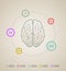 Brain infographic template
