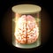 Brain in Jar