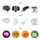 Brain, kidney, blood vessel, skin. Organs set collection icons in black,flat,outline style vector symbol stock