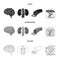 Brain, kidney, blood vessel, skin. Organs set collection icons in black,monochrome,outline style vector symbol stock