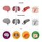 Brain, kidney, blood vessel, skin. Organs set collection icons in cartoon,flat,monochrome style vector symbol stock