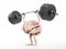 Brain lifting barbell weights. Mental training concept. 3D illustration