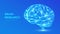 Brain. Low poly abstract digital human brain. Neural network. IQ testing, artificial intelligence virtual emulation science