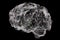 Brain made of neuronal networks