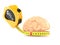 Brain with measuring tape