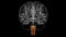 Brain Medulla oblongata Anatomy For Medical Concept 3D animation