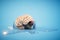 brain in melting ice on blue background. 3d render