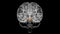 Brain Midbrain Anatomy For Medical Concept 3D
