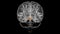 Brain Midbrain Anatomy For Medical Concept 3D animation