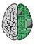 Brain and motherboard
