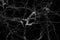 Brain neurons illustration, on black background