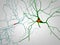 Brain, neurons, synapses, neural network, degenerative diseases, Parkinson