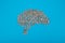 Brain from numbers. on blue background. Business concept, idea