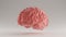 Brain Pink Futuristic Artificial Intelligence Polygon