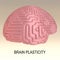Brain Plasticity concept