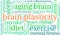 Brain Plasticity Word Cloud