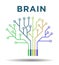 Brain printed circuit and text