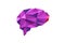 Brain Purple Polygonal Symbol Logo