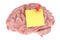 Brain with push pin and blank sticky note, 3D rendering