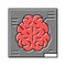 brain radiology researching color icon vector illustration