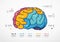 Brain resources infographic. Business education concept. Vector slide template. Creative illustration