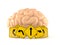 Brain with road signs