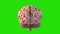 Brain Rotation Loop Green Screen 3D Rendering Animation