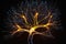 The Brain\\\'s Inner Universe: Exploring Neuronal ConnectionsFunction background